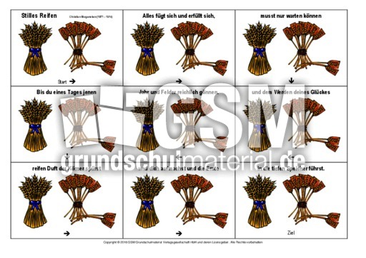 Domino-Stilles-Reifen-Morgenstern.pdf